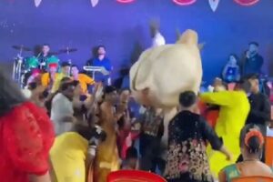 కుటుంబ వేడుకలో హల్ చల్ చేసిన ఎద్దు