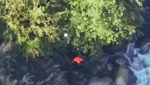 ఉగ్రవాదులకు సహాయం.. తప్పించుకునే ప్రయత్నంలో నదిలో దూకాడు