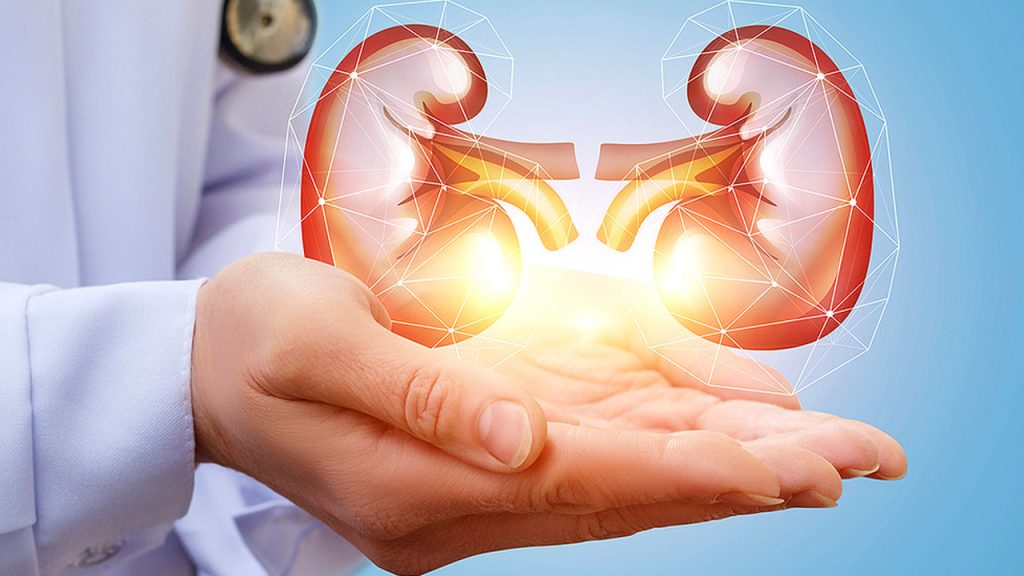 Health: కిడ్నీలు ఆరోగ్యాంగా ఉండాలంటే ఇలా చేయండి