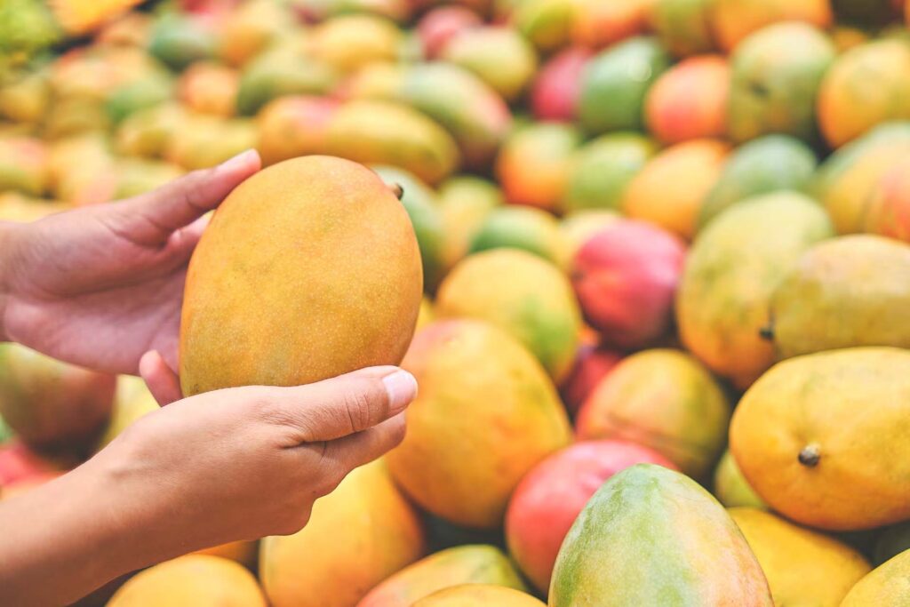 Mango:రసాయనాలతో పండించిన మామిడి పండ్లను గుర్తించండి ఇలా..