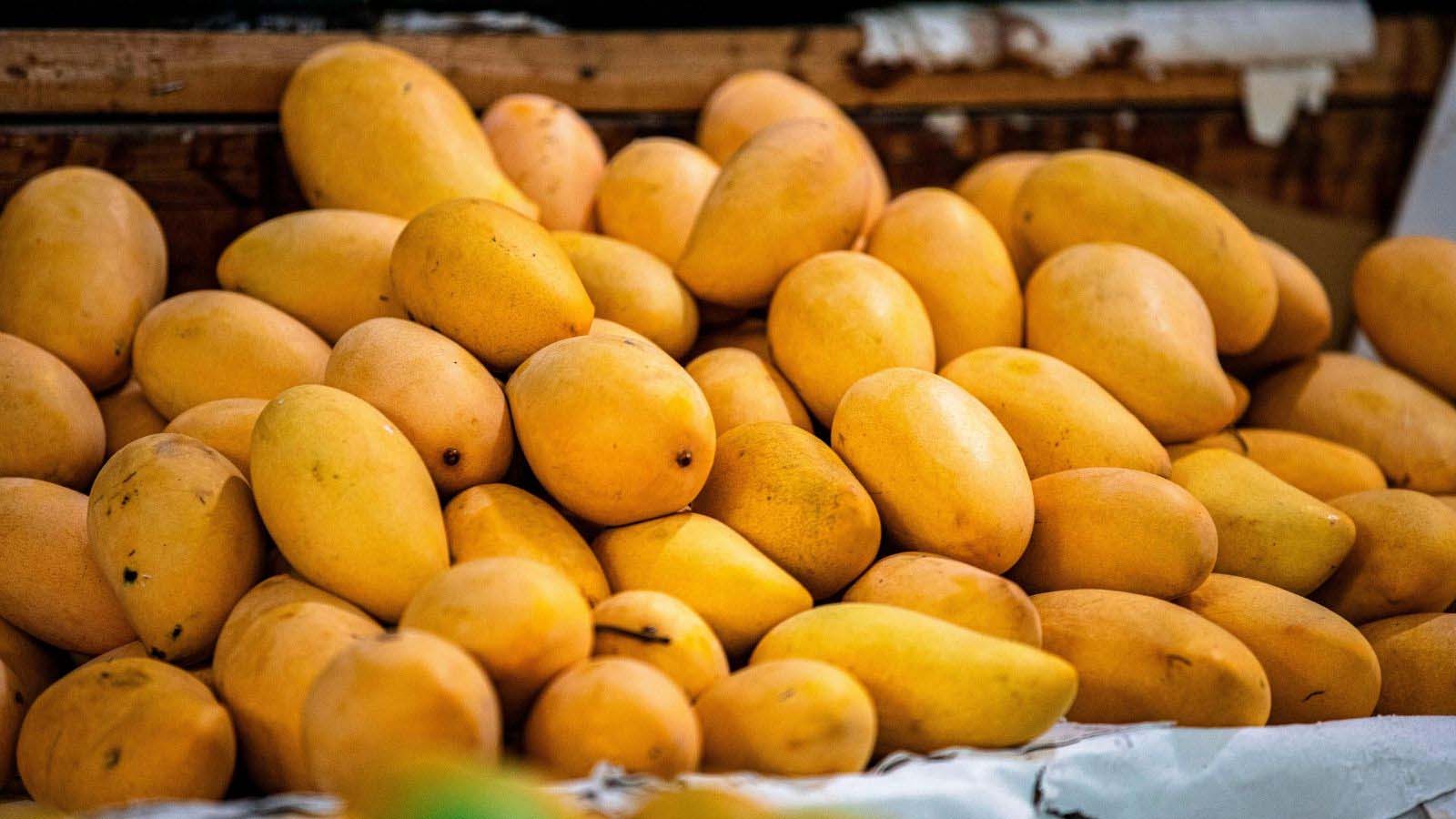 Mango:రసాయనాలతో పండించిన మామిడి పండ్లను గుర్తించటం ఎలా?