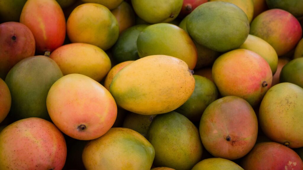 Mangos: భారత్ మామిడి పండ్లను తిరస్కరించిన అమెరికా..కారణాలు ఏంటి?