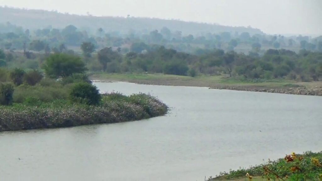 Telangana: ప్రాణహిత-గోదావరి లోయలో డైనోసార్ అవశేషాలు