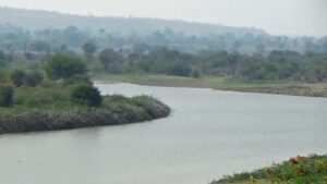 ప్రాణహిత-గోదావరి లోయలో డైనోసార్ అవశేషాలు