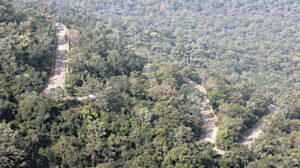 నల్లమల అటవీ ప్రాంతంలోకి ఎవ్వరు వెళ్లొద్దు – అటవీ అధికారులు