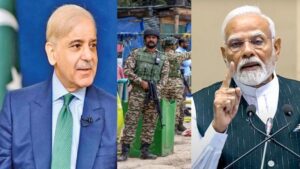 భారత్-పాకిస్తాన్ సీజ్‌ఫైర్: జవాబు దొరకని కొన్ని ప్రశ్నలు