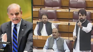 సింహాల సైన్యాన్ని నక్క నడిపిస్తోంది..!: పాకిస్థాన్‌ ఎంపీ