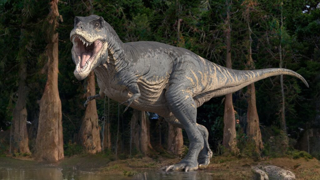 Telangana: అందమైన ప్రాణహిత గోదావరి చూసొద్దామా..