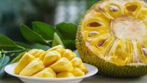 క్యాన్సర్ ని ఆమడదూరం ఉంచే పనస