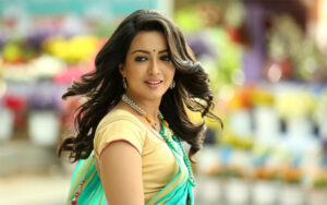 చిరంజీవి సరసన ‘సరైనోడు’ భామ!