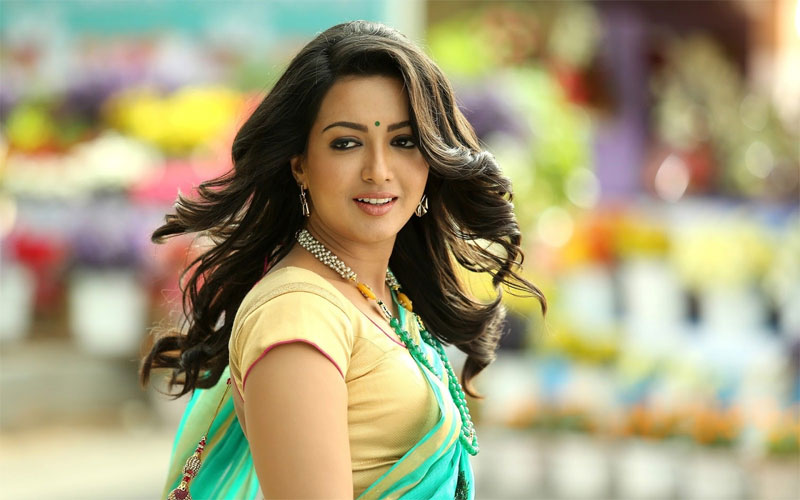 Mega 157 : చిరంజీవి సరసన ‘సరైనోడు’ భామ!