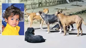 వీధి కుక్కలకు బలైన నాలుగేళ్ళ బాలుడు