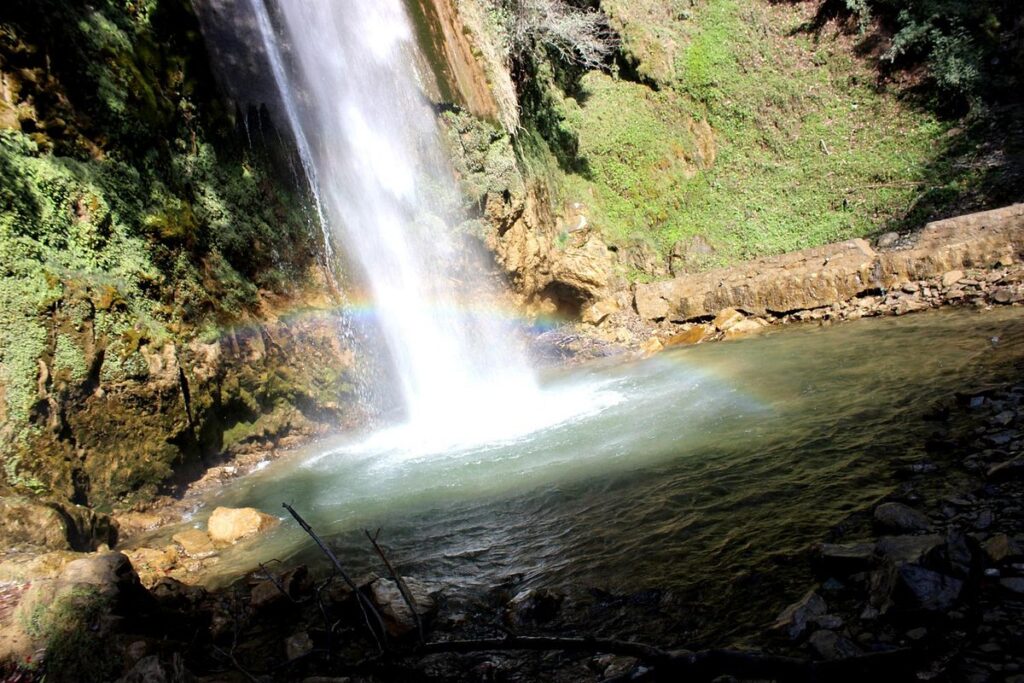 Waterfall: టైగర్‌ వాటర్‌ఫాల్స్‌ లో చెట్టు కూలి ఇద్దరు మృతి