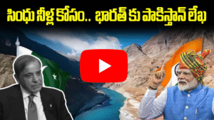 పాక్‌కు సంక్షోభం, భారత్ దృఢ వైఖరి