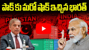 పాక్ దిగుమతులపై భారత్ నిషేధం