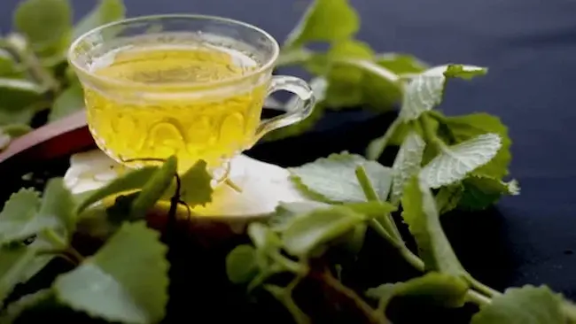 Vamu leaf tea: వాము ఆకు టీ తో గ్యాస్ట్రిక్ సమస్యకు విరుగుడు