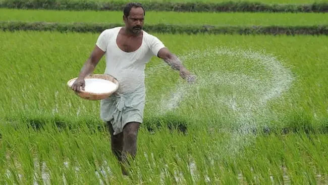 Telangana: రాష్ట్రంలో యూరియా కొరత