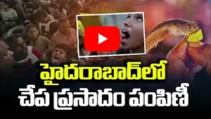 హైదరాబాద్‌లో చేప ప్రసాదం పంపిణీ