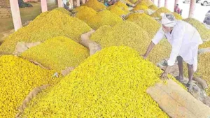 త్వరలో నిజామాబాద్ లో పసుపు బోర్డు ప్రారంభించనున్న అమిత్ షా