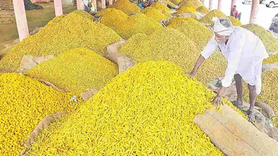 Nizamabad: త్వరలో నిజామాబాద్ లో పసుపు బోర్డు ప్రారంభించనున్న అమిత్ షా