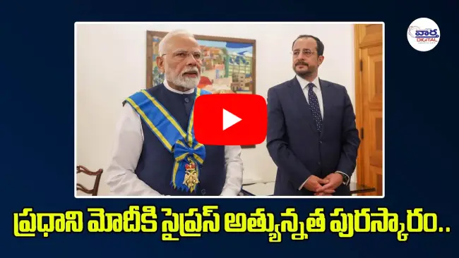 సైప్రస్