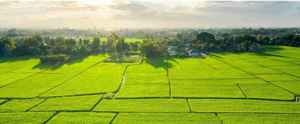 Ayodhya : అయోధ్యలో పెరిగిన భూముల ధరలు