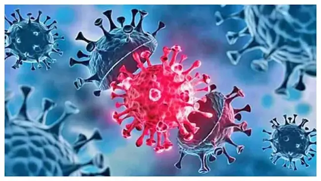 Covid-19: ఈ అవయవాలపై కొవిడ్ దాడి..తస్మాత్ జాగ్రత్త