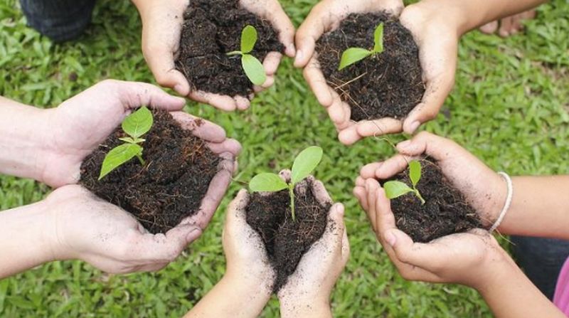 Chandrababu : నేడు ఒక్క‌రోజే ఒక కోటి మొక్క‌లు నాటే కార్య‌క్ర‌మం