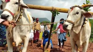 ప్రారంభమైన ఏరువాక.. రైతన్నలు బిజీబిజీ