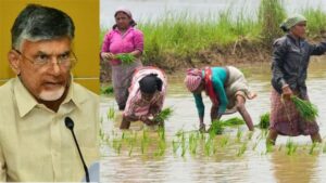 పంటల బీమా నిధుల్ని విడుదల చేసిన ఏపీ ప్రభుత్వం