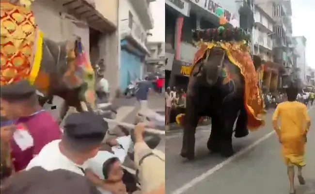 Jagannath Yatra: జగన్నాథ రథయాత్రలో భక్తుల పైకి దూసుకెళ్లిన ఏనుగు