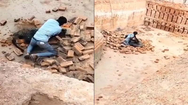 Cheetah : చిరుతను ఇటుకలతో కొట్టి చంపిన వారిపై కేసు