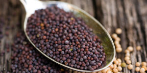 ఆవాల ఆరోగ్య రహస్యం – వంటలో మిరుమిట్లు, ఆరోగ్యానికి ఔషధం!