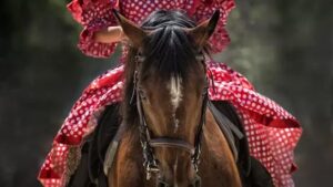 ఉగ్రదాడి తో ఆగిన బతుకు చక్రం