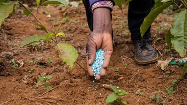 Urea: యూరియా బస్తాల కోసం రైతులు ఎదురుచూపులు