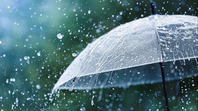  Rain: తెలంగాణలో 3 రోజులు భారీ వర్ష సూచన