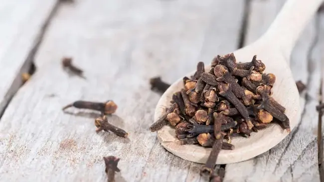 Clove Water: ఆరోగ్య సిరి – లవంగాల నీళ్లు