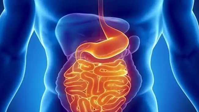 Health: ఆరోగ్య వంతమైన జీర్ణ వ్యవస్థ కోసం..