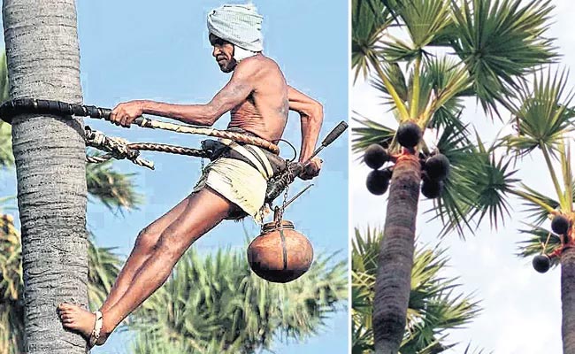 Geetha Workers : గీత కార్మికులకు కాంగ్రెస్ సర్కార్ గుడ్ న్యూస్