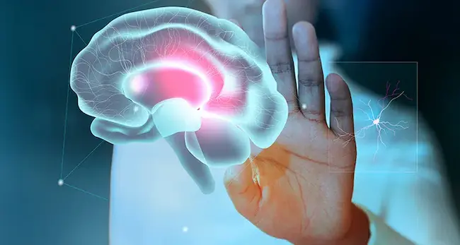 OCD :OCD అంటే ఏమిటో తెలుసా?  దీని ప్రభావం జీవితంపై ఎలా ఉంటున్నదో తెలుసుకుందాం..