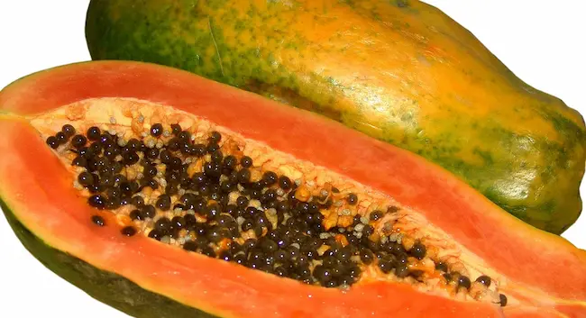 Papaya : వర్షాకాలంలో బొప్పాయి పండ్లను తింటే ఏమవుతుందో తెలుసా?