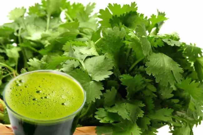 Coriander Leaves Juice : కొత్తిమీర జ్యూస్‌ ఉదయాన్నే తాగితే ఎన్నో ప్రయోజనాలు!