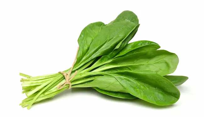 Spinach Benefits: పాలకూర – ఆరోగ్యానికి పచ్చని ఆయుధం!"