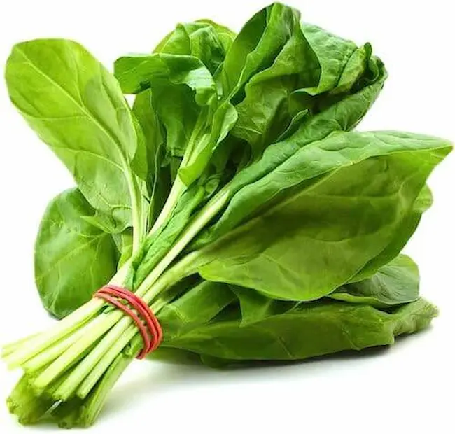 Spinach Benefits: పాలకూర – ఆరోగ్యానికి పచ్చని ఆయుధం!”