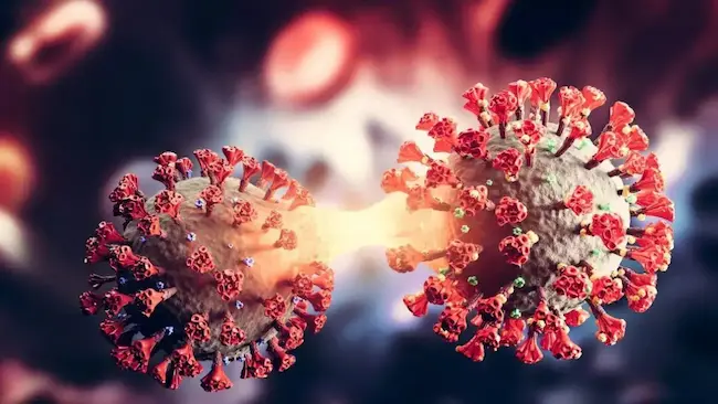 Corona : పెరుగుతున్న కరోనా ..6000 మార్కును దాటిన కేసుల సంఖ్య