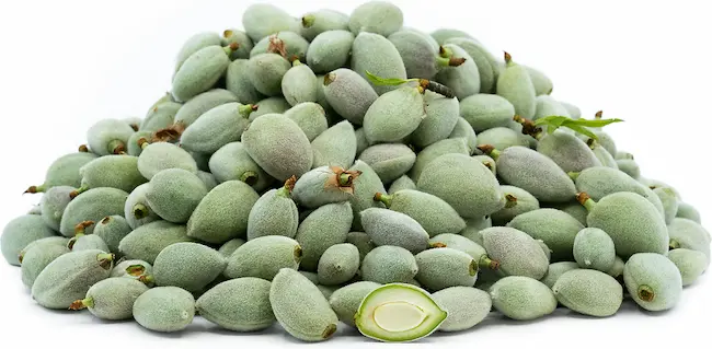  Green Almonds : పచ్చి బాదంతో ప్రయోజనాలెన్నో..