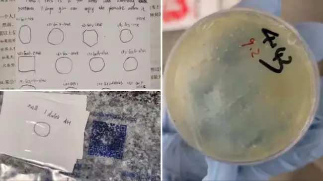 Chinese Researcher: అమెరికాలో మరో చైనా పరిశోధకుడి అరెస్టు