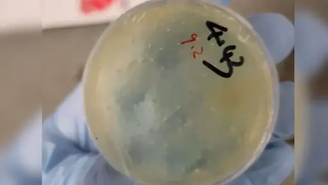 Chinese Researcher: అమెరికాలో మ‌రో చైనా ప‌రిశోధ‌కుడి అరెస్టు