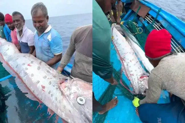 Fish: మత్స్యకారులకు లభ్యమైన భారీ విచిత్ర చేప