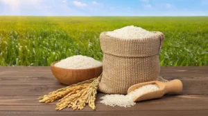 పేద పిల్లలకు సన్న బియ్యంతో భోజనం